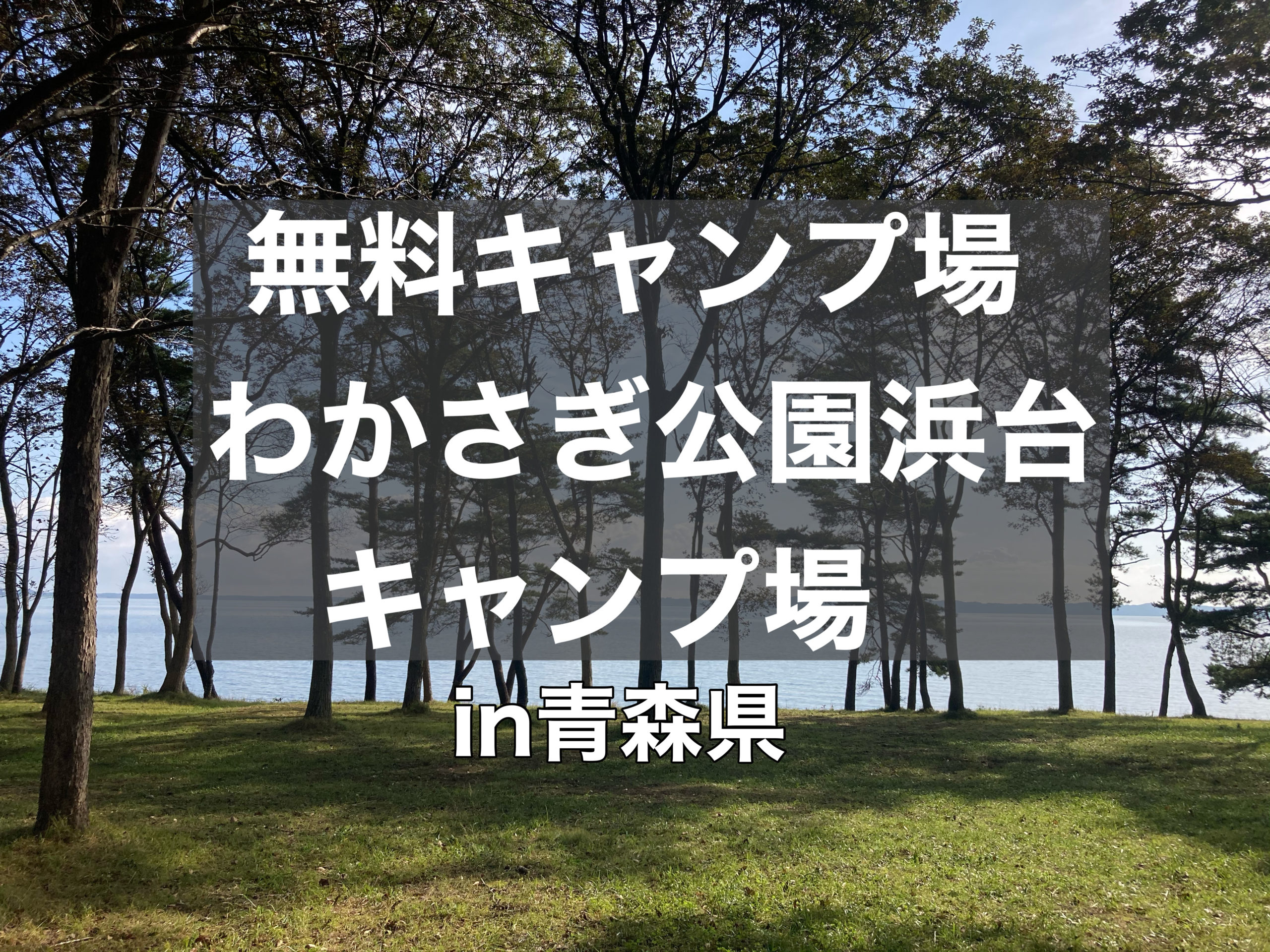 わかさぎ公園浜台キャンプ場は小川原湖の湖畔にある無料キャンプ場 青森県東北町